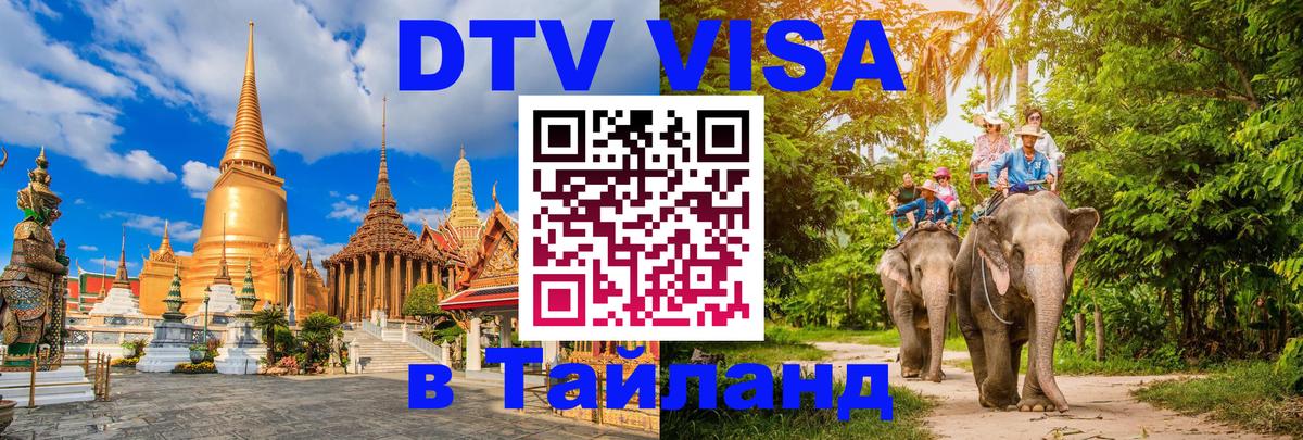 Сколько стоит DTV виза — актуальные цены, оформление даже без документов - Сан-Сальвадор  03.10.2025 